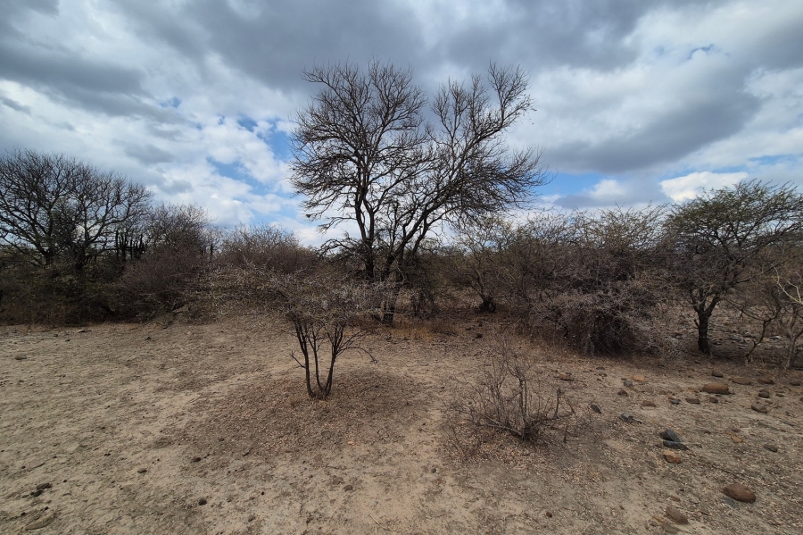 0 Bedroom Property for Sale in Blyde Wildlife Estate Limpopo
