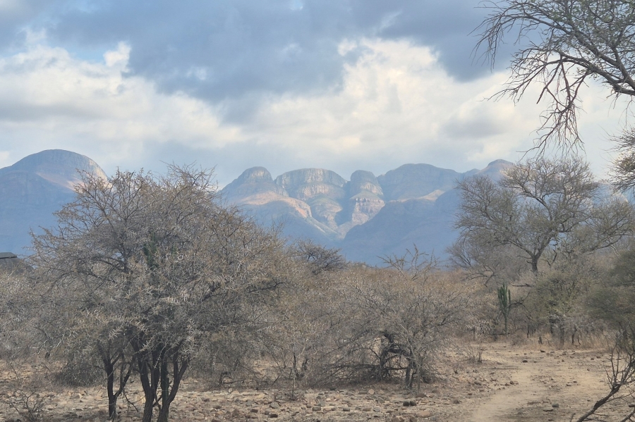 0 Bedroom Property for Sale in Blyde Wildlife Estate Limpopo
