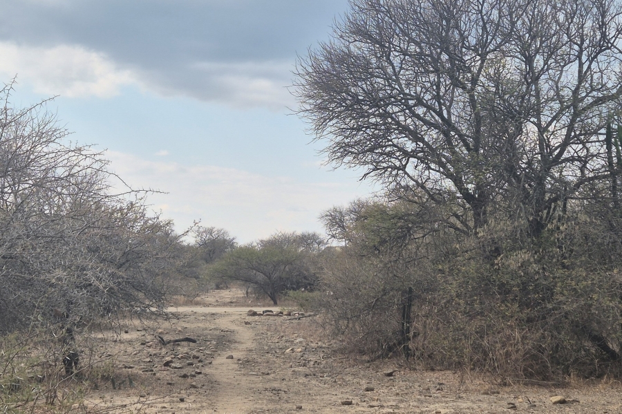 0 Bedroom Property for Sale in Blyde Wildlife Estate Limpopo
