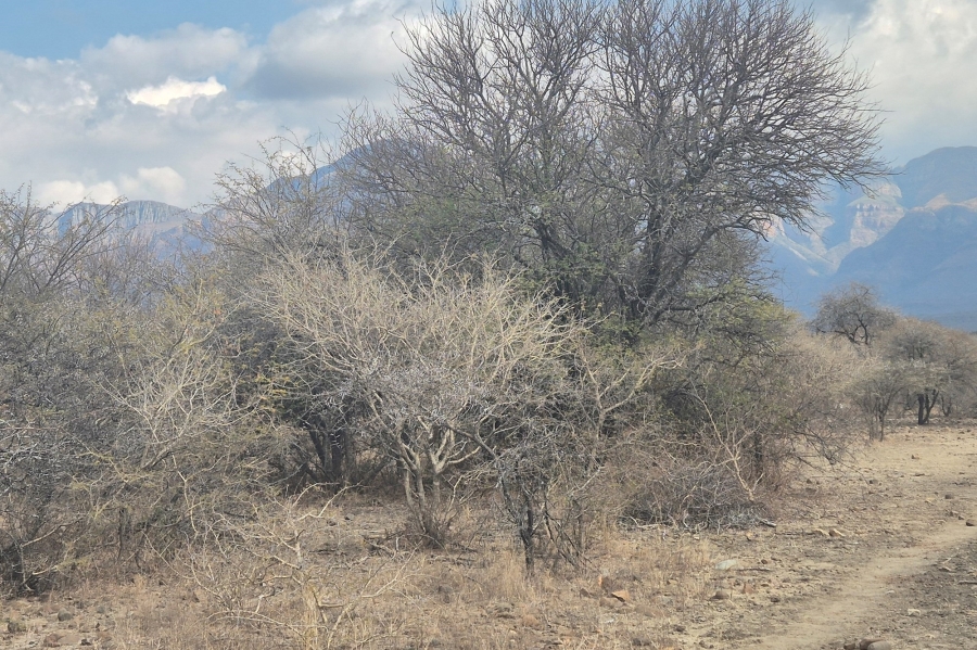 0 Bedroom Property for Sale in Blyde Wildlife Estate Limpopo