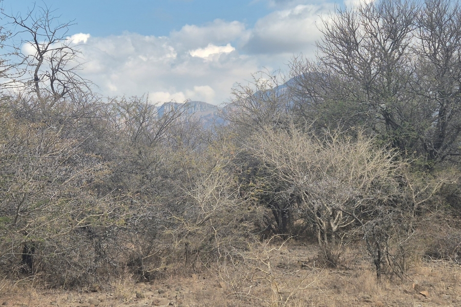 0 Bedroom Property for Sale in Blyde Wildlife Estate Limpopo