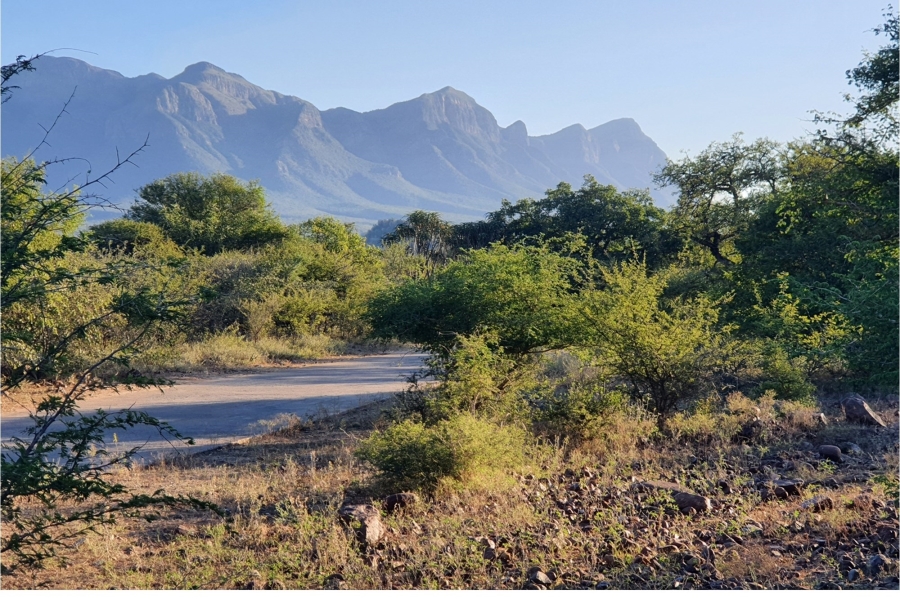0 Bedroom Property for Sale in Blyde Wildlife Estate Limpopo