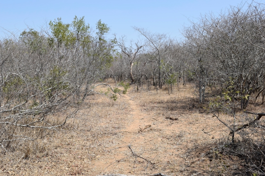 0 Bedroom Property for Sale in Moditlo Wildlife Estate Limpopo