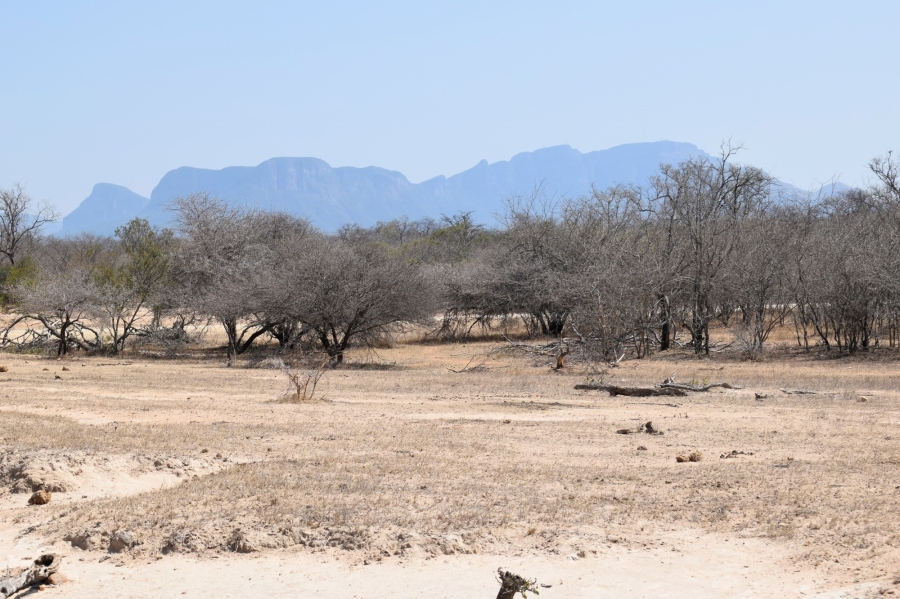 0 Bedroom Property for Sale in Moditlo Wildlife Estate Limpopo