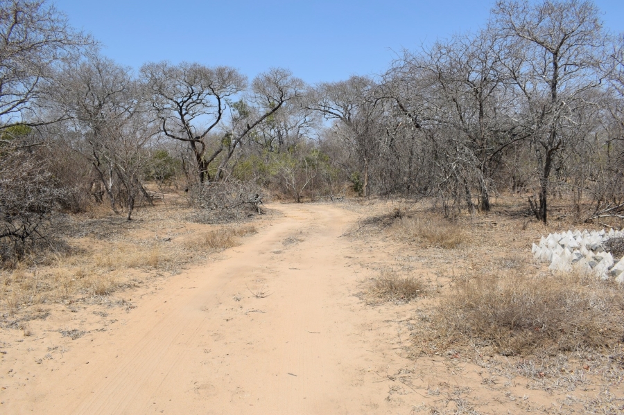 0 Bedroom Property for Sale in Moditlo Wildlife Estate Limpopo