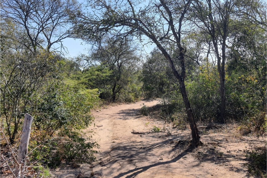 0 Bedroom Property for Sale in Moditlo Wildlife Estate Limpopo