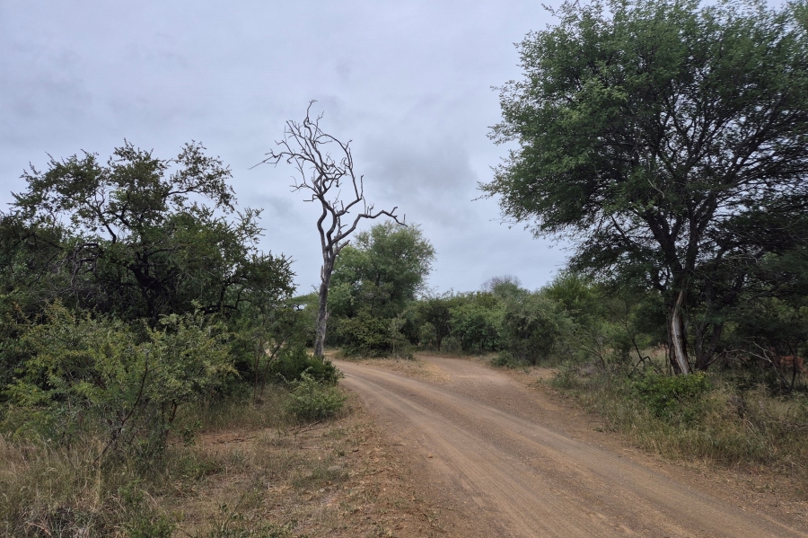 0 Bedroom Property for Sale in Moditlo Wildlife Estate Limpopo