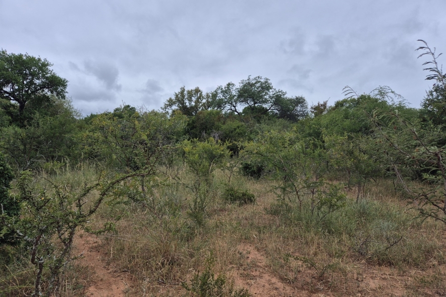 0 Bedroom Property for Sale in Moditlo Wildlife Estate Limpopo