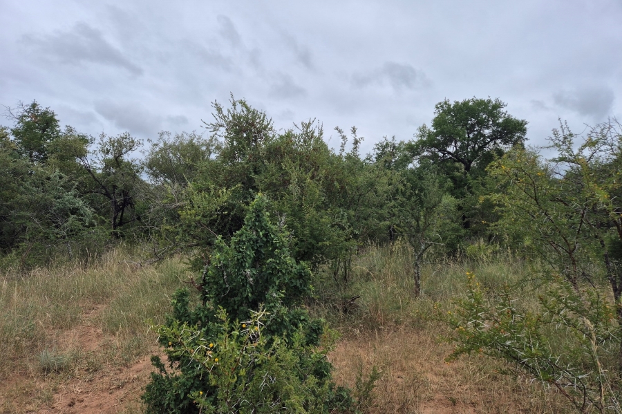 0 Bedroom Property for Sale in Moditlo Wildlife Estate Limpopo