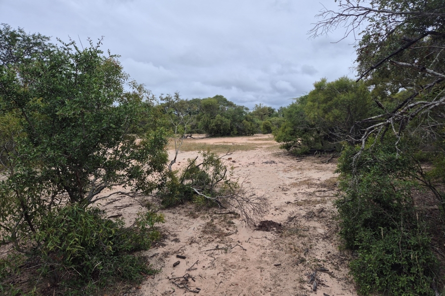 0 Bedroom Property for Sale in Moditlo Wildlife Estate Limpopo