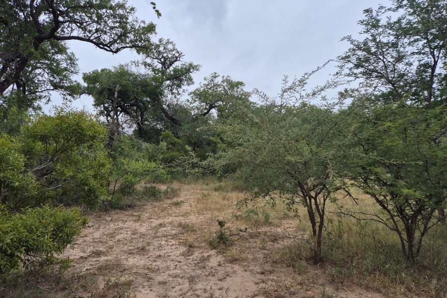 0 Bedroom Property for Sale in Moditlo Wildlife Estate Limpopo