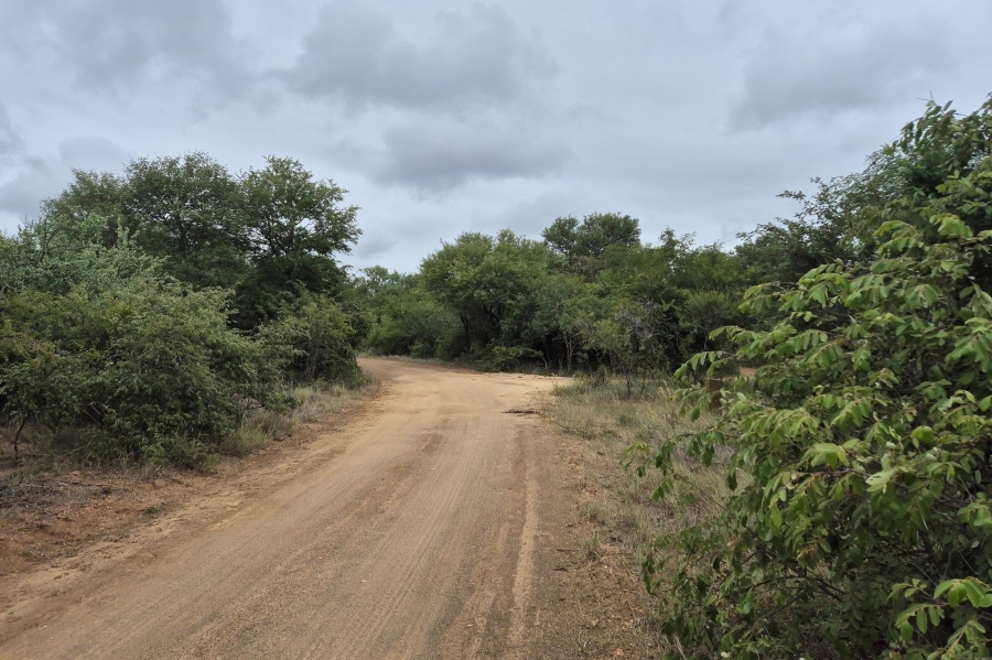 0 Bedroom Property for Sale in Moditlo Wildlife Estate Limpopo