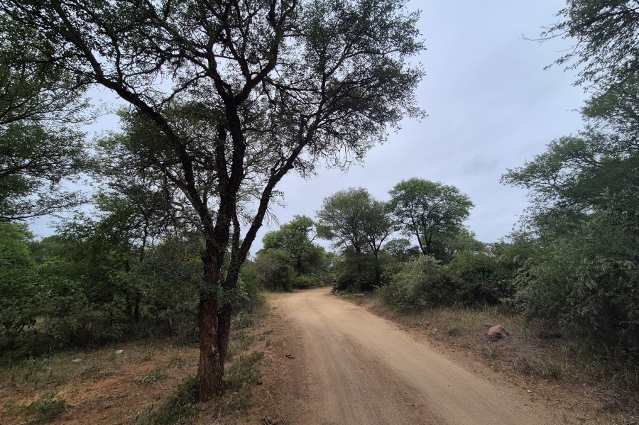 0 Bedroom Property for Sale in Moditlo Wildlife Estate Limpopo