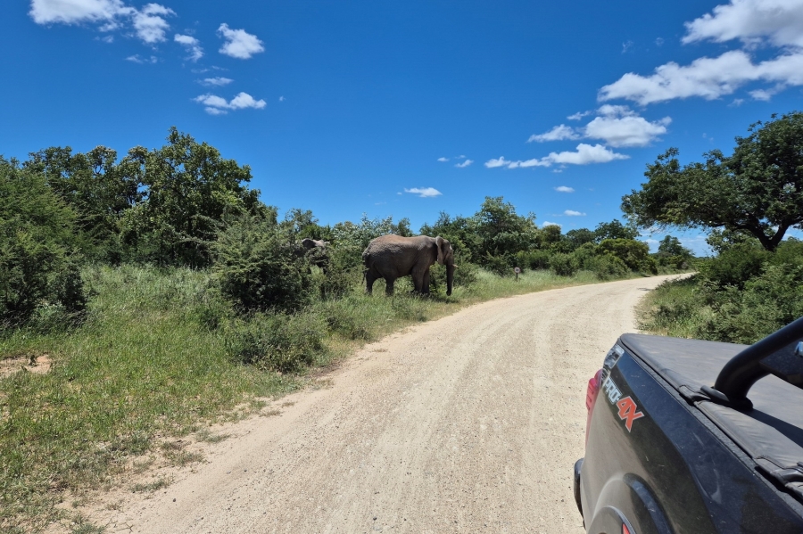 0 Bedroom Property for Sale in Moditlo Wildlife Estate Limpopo