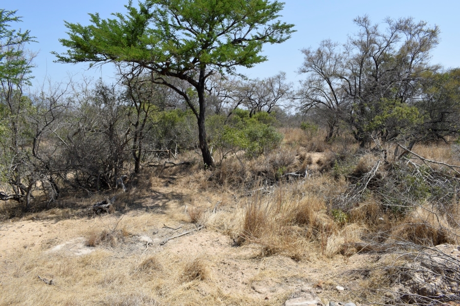 3 Bedroom Property for Sale in Moditlo Wildlife Estate Limpopo