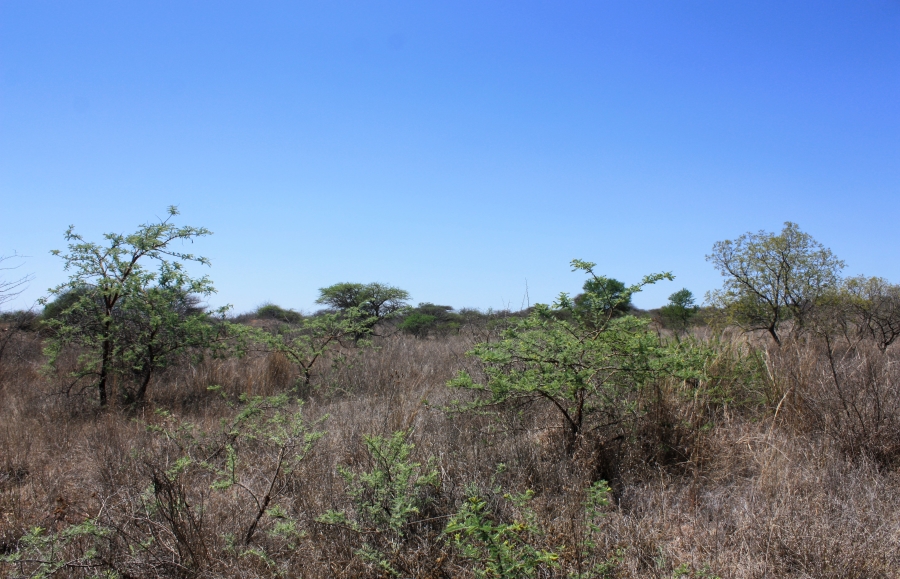 Commercial Property for Sale in Kalkfontein A H Limpopo