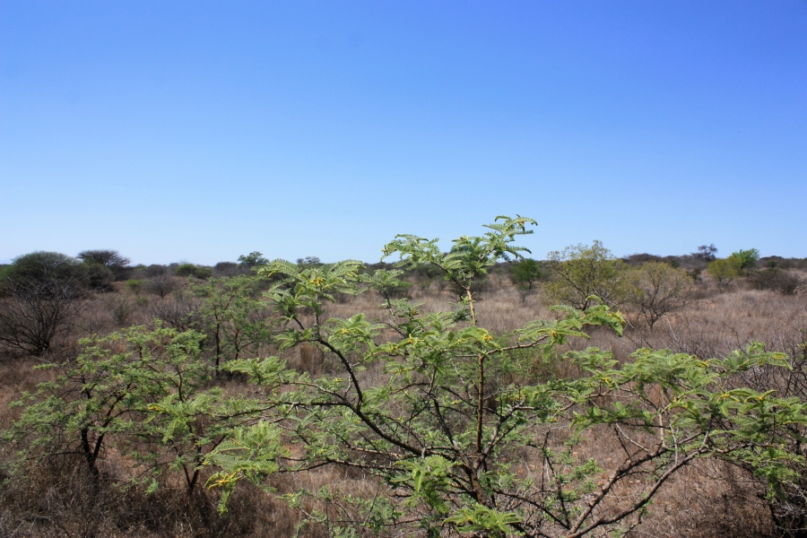 Commercial Property for Sale in Kalkfontein A H Limpopo