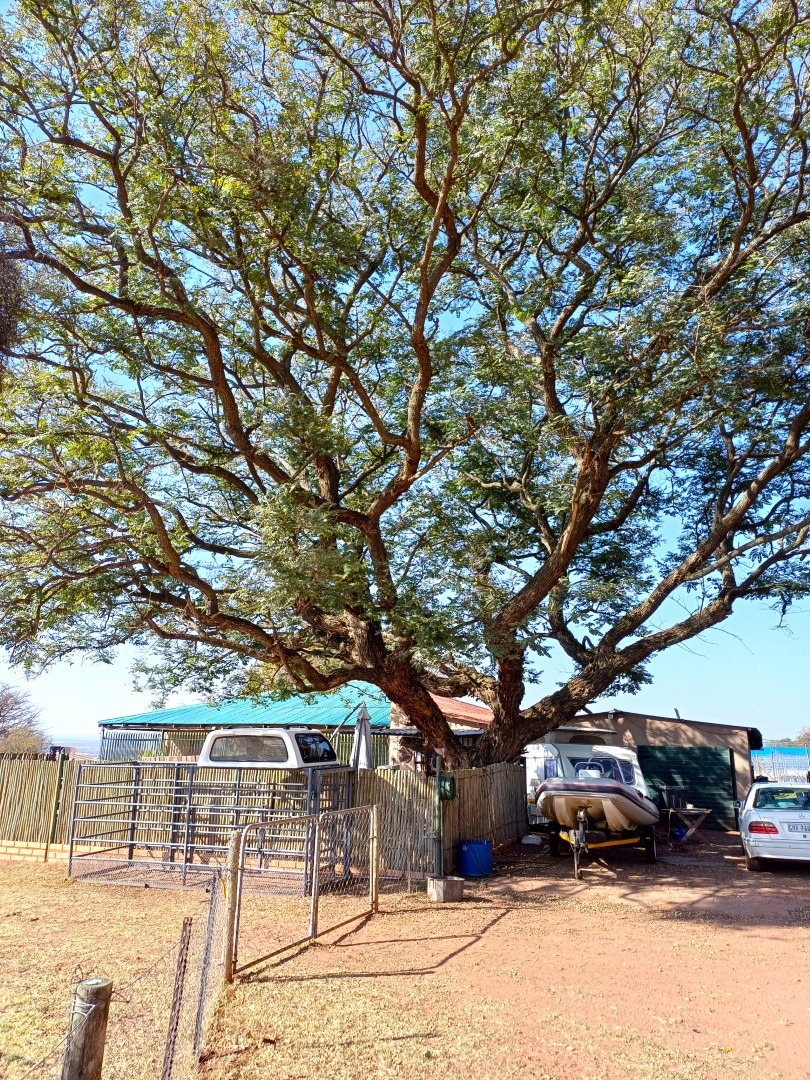 3 Bedroom Property for Sale in Sterkrivier Limpopo
