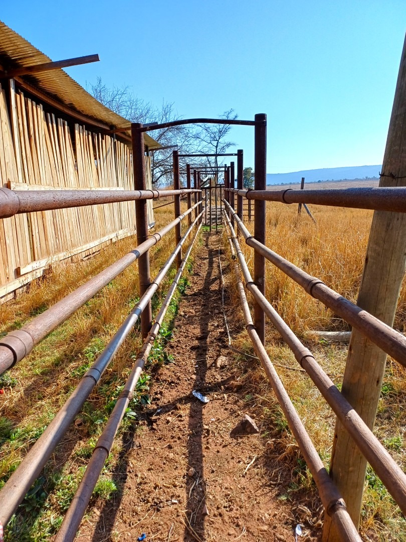 3 Bedroom Property for Sale in Sterkrivier Limpopo