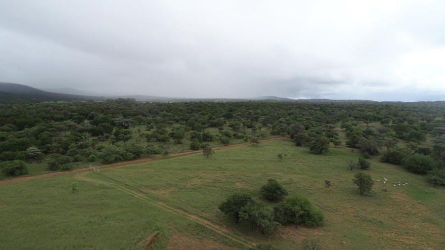 5 Bedroom Property for Sale in Bela Bela Limpopo