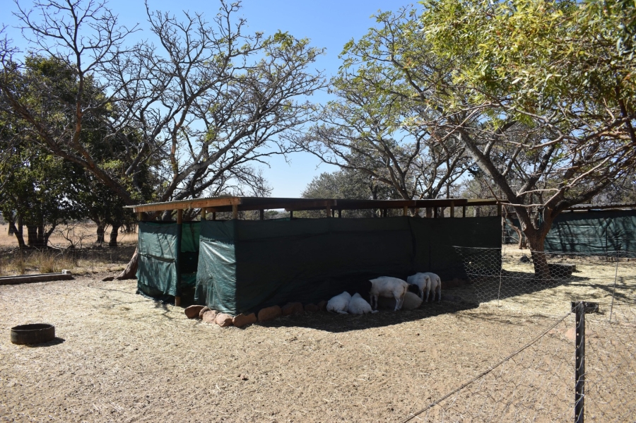 5 Bedroom Property for Sale in Bela Bela Limpopo