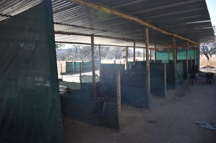 5 Bedroom Property for Sale in Bela Bela Limpopo