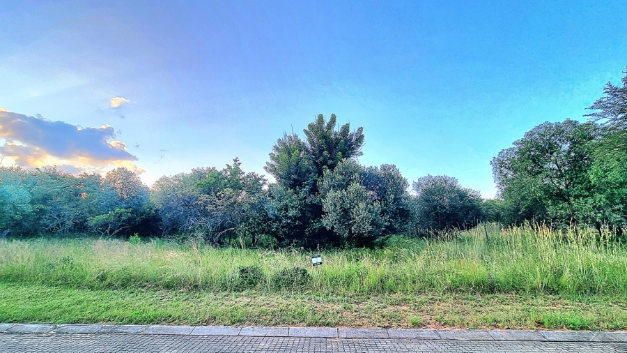 0 Bedroom Property for Sale in Koro Creek Golf Estate Limpopo