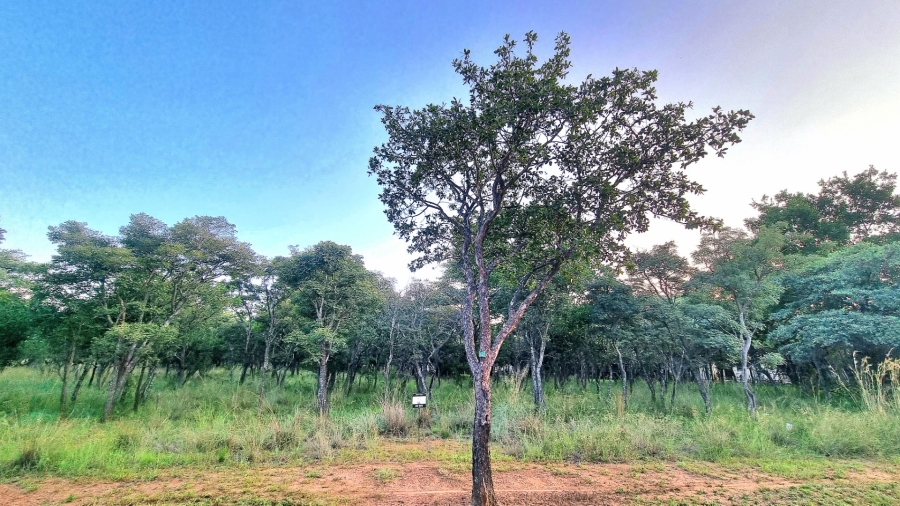 0 Bedroom Property for Sale in Koro Creek Golf Estate Limpopo