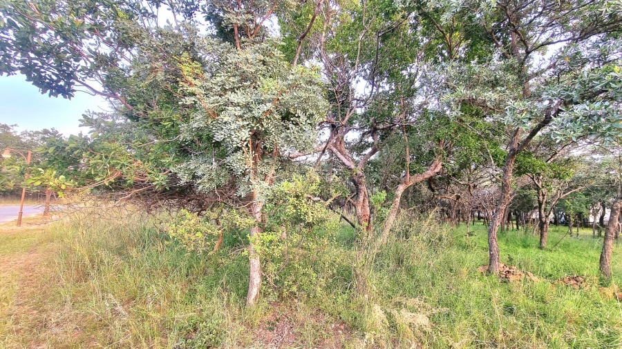 0 Bedroom Property for Sale in Koro Creek Golf Estate Limpopo