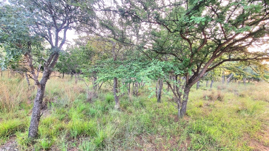 0 Bedroom Property for Sale in Koro Creek Golf Estate Limpopo