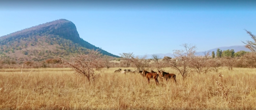 To Let 1 Bedroom Property for Rent in Vaalwater Limpopo