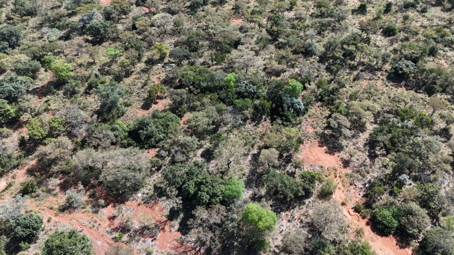 0 Bedroom Property for Sale in Verloren Estate Limpopo