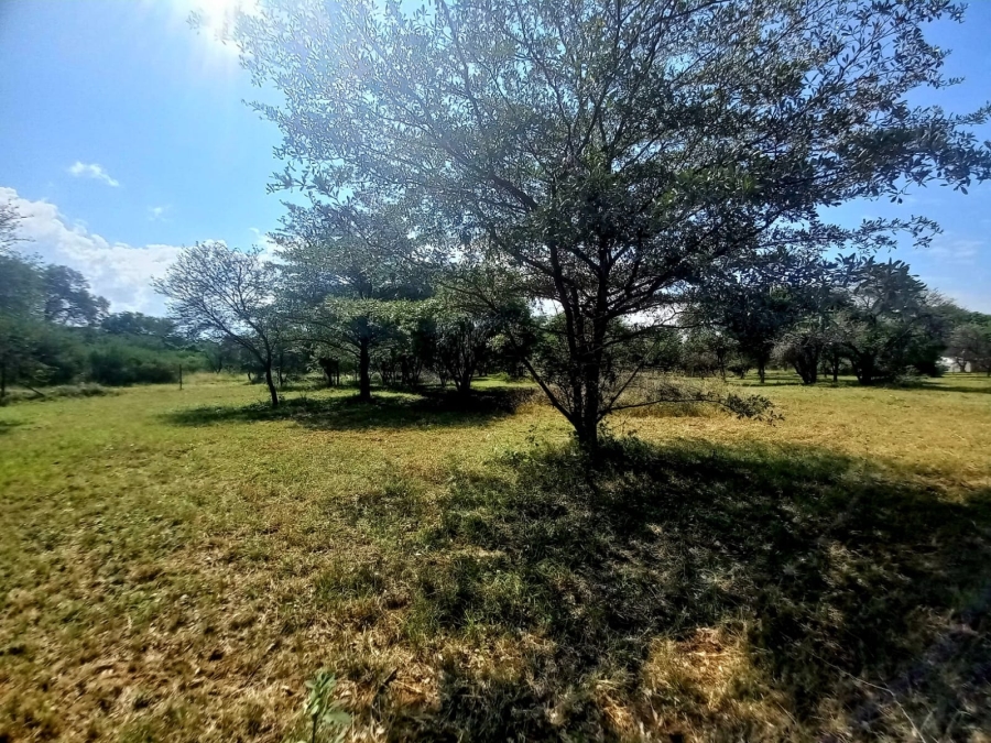 0 Bedroom Property for Sale in Bela Bela Limpopo