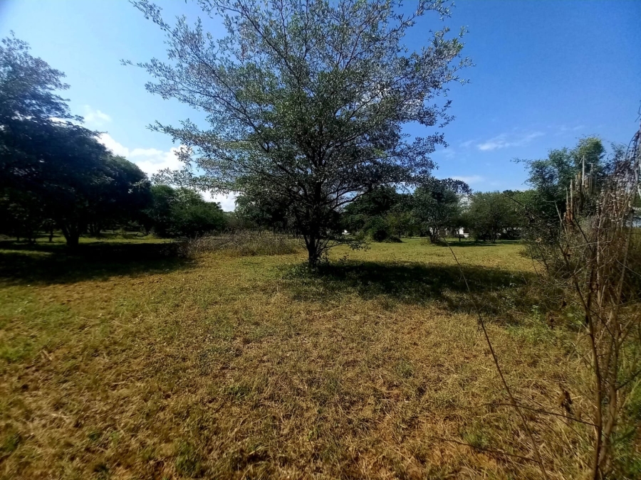 0 Bedroom Property for Sale in Bela Bela Limpopo