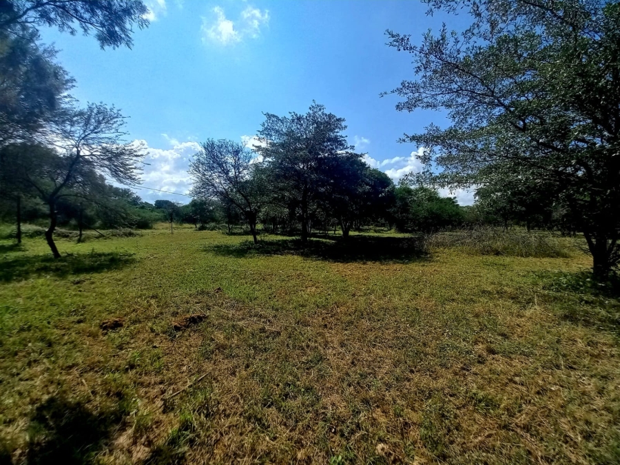 0 Bedroom Property for Sale in Bela Bela Limpopo