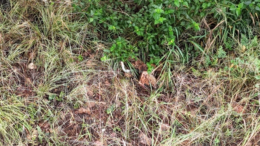 0 Bedroom Property for Sale in Bela Bela Limpopo