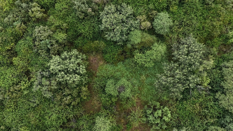 0 Bedroom Property for Sale in Bela Bela Limpopo