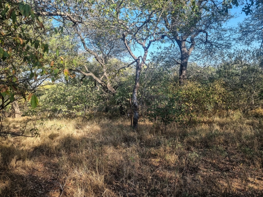 0 Bedroom Property for Sale in Raptors View Wildlife Estate Limpopo