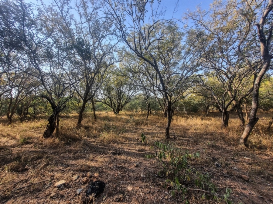0 Bedroom Property for Sale in Raptors View Wildlife Estate Limpopo