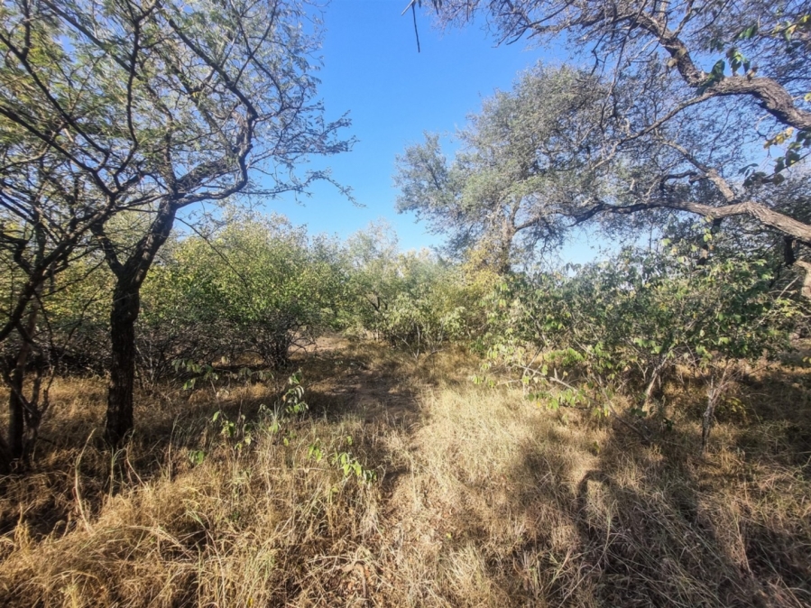 0 Bedroom Property for Sale in Raptors View Wildlife Estate Limpopo