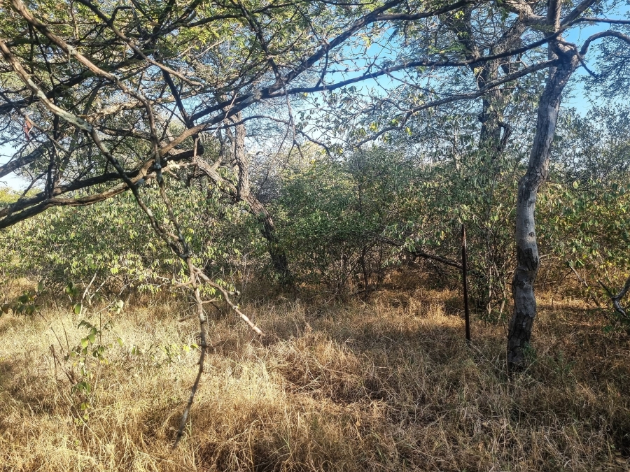 0 Bedroom Property for Sale in Raptors View Wildlife Estate Limpopo