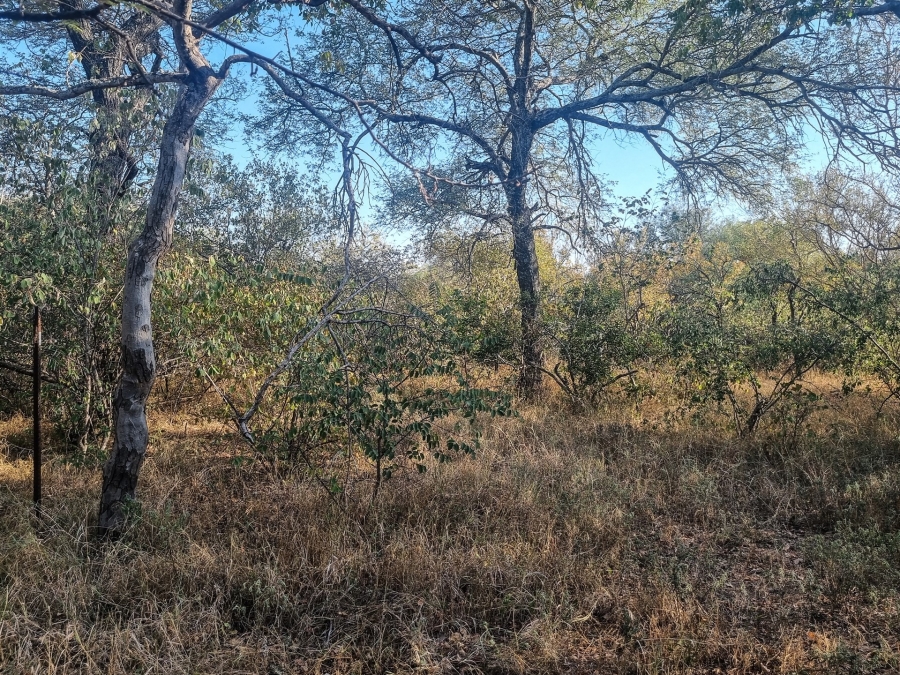 0 Bedroom Property for Sale in Raptors View Wildlife Estate Limpopo