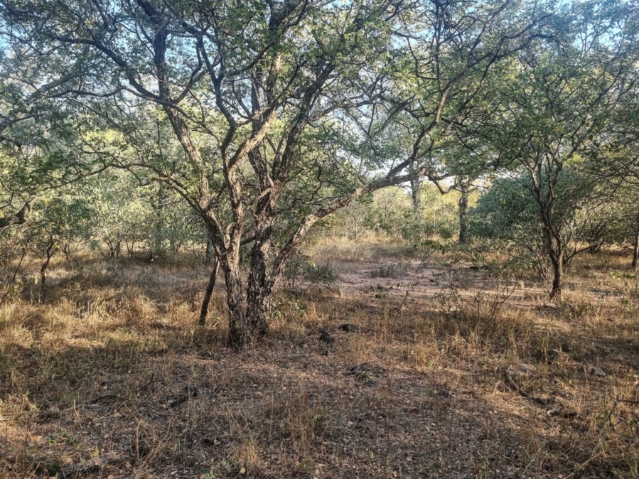 0 Bedroom Property for Sale in Raptors View Wildlife Estate Limpopo