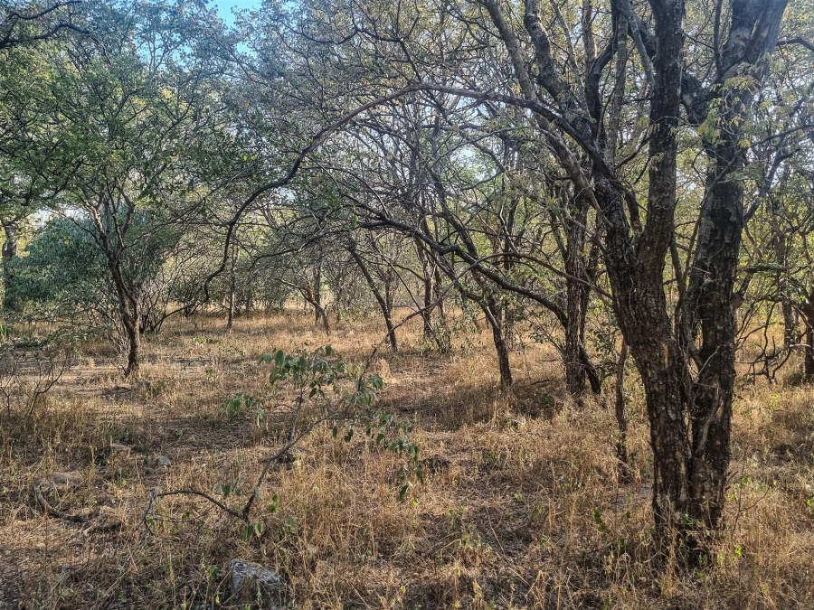 0 Bedroom Property for Sale in Raptors View Wildlife Estate Limpopo