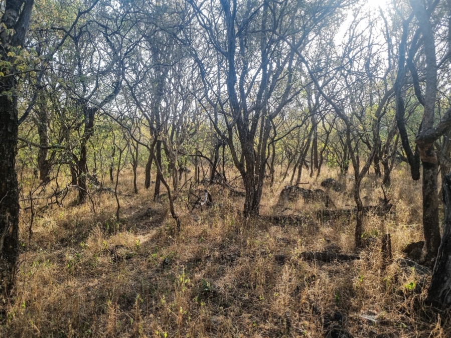 0 Bedroom Property for Sale in Raptors View Wildlife Estate Limpopo