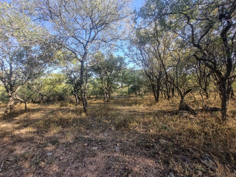 0 Bedroom Property for Sale in Raptors View Wildlife Estate Limpopo