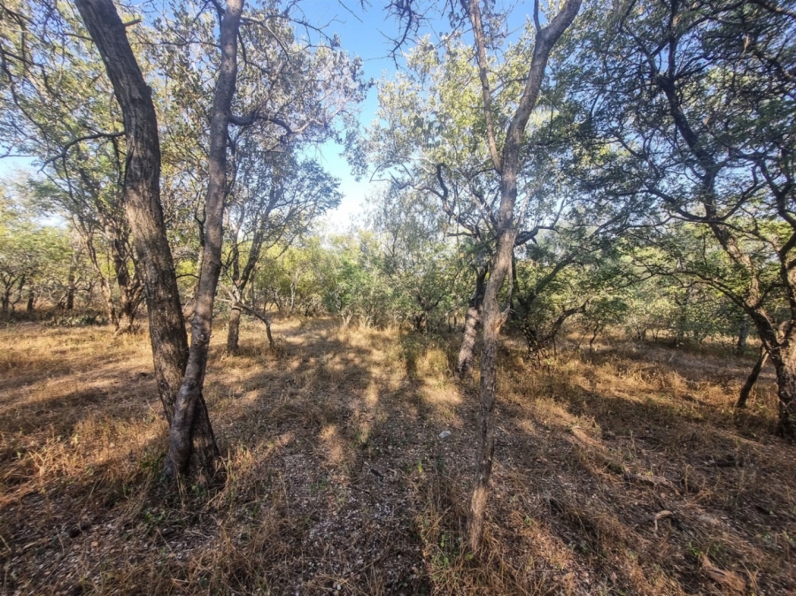 0 Bedroom Property for Sale in Raptors View Wildlife Estate Limpopo