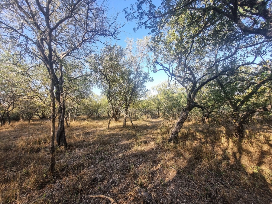 0 Bedroom Property for Sale in Raptors View Wildlife Estate Limpopo