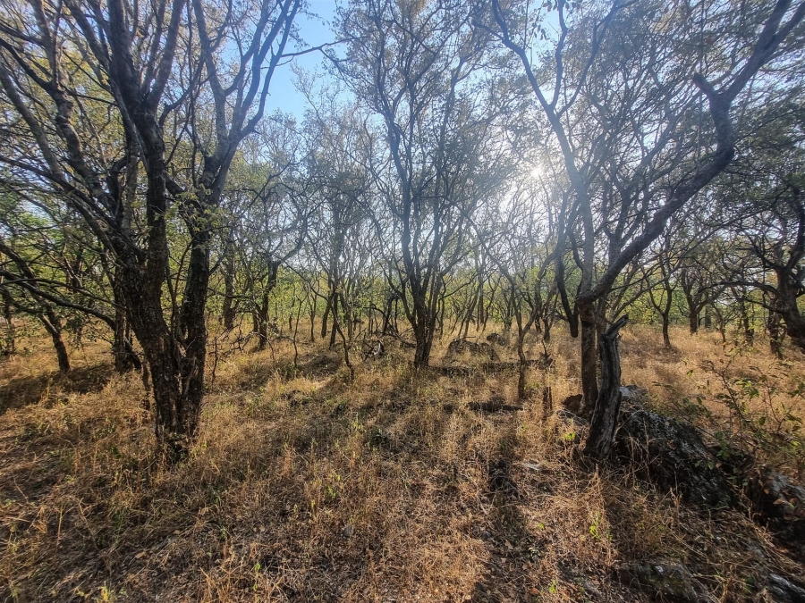0 Bedroom Property for Sale in Raptors View Wildlife Estate Limpopo