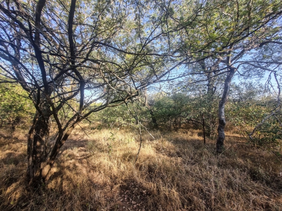 0 Bedroom Property for Sale in Raptors View Wildlife Estate Limpopo